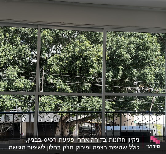 חלון גדול עם נוף של עצים בחוץ